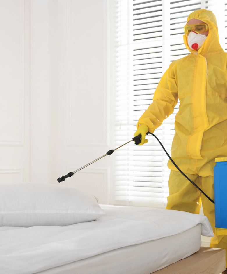 Professional Pest Control Team in Paracombe